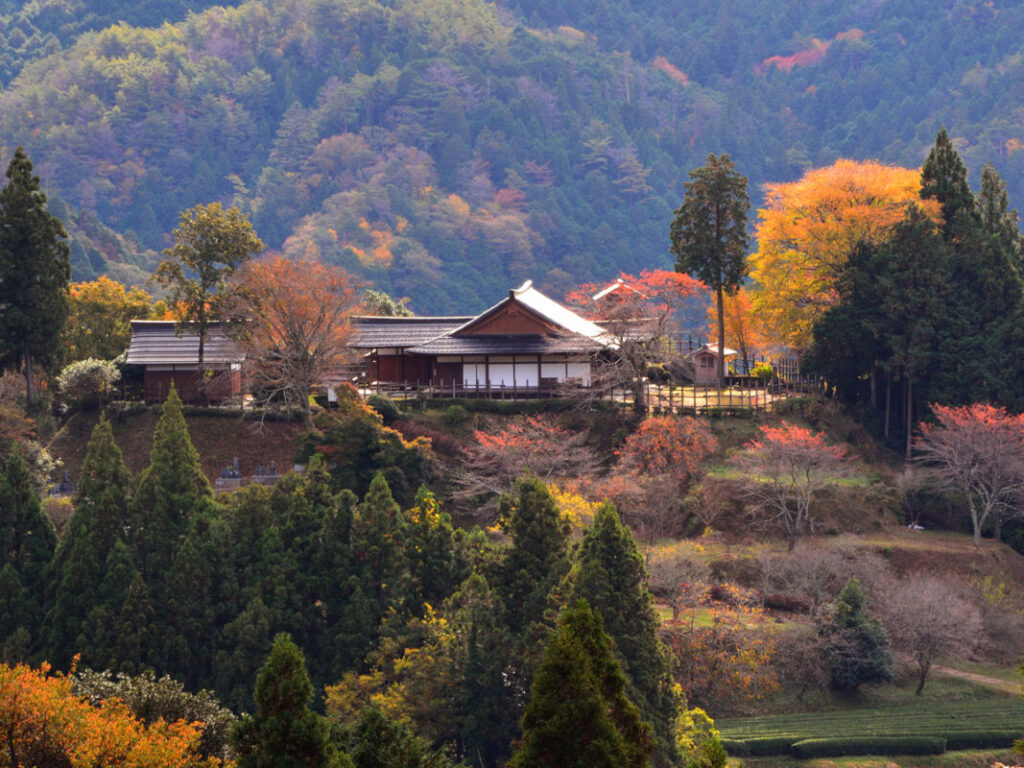旅ろっ！愛知【日帰り】日本の山里「田峯地区」散策と鳳来寺特別拝観