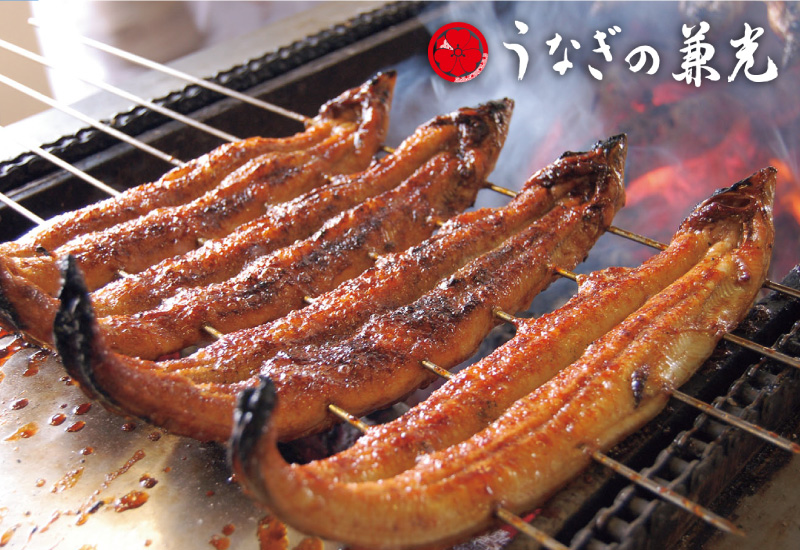 【日帰り】うなぎの兼光”炭火手焼三河産うなぎ”とみかん狩り食べ放題