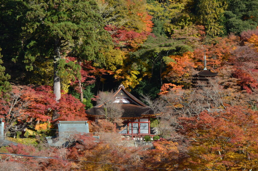 【日帰り】大和郡山「大河ドラマ館」 多武峰・談山神社