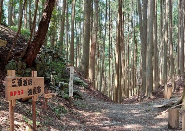 【日帰り】軽食弁当付＊Ｌｅｔ’ｓハイキング！『熊野古道　三瀬坂峠を歩こう』