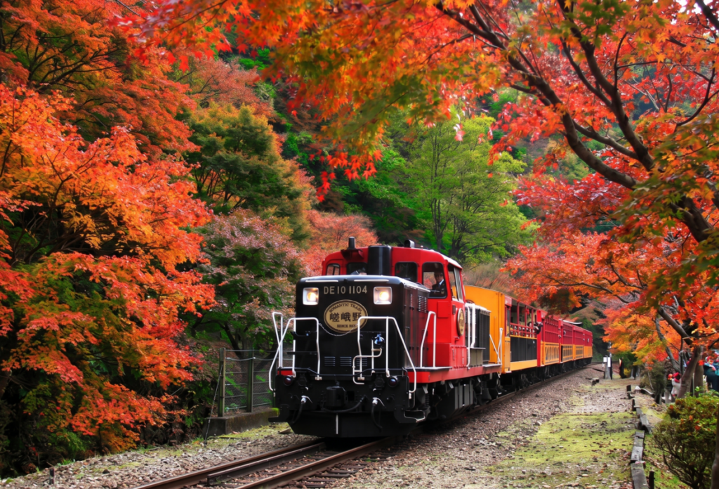 【日帰り】嵯峨野トロッコ列車と嵐山