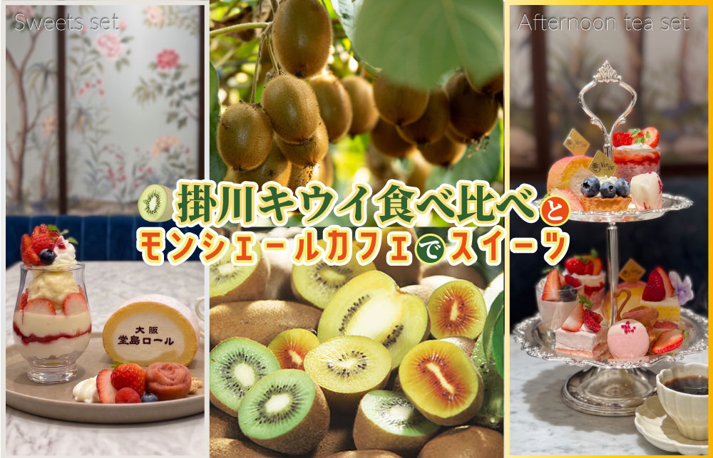 【日帰り】栄養価№１ フルーツ　キウイ食べ比べとモンシェールカフェでスイーツ