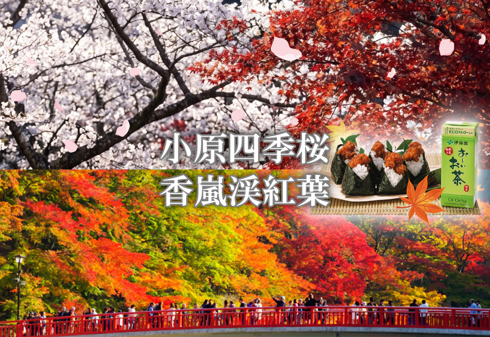 【日帰り】名古屋駅発・香嵐渓紅葉と小原四季桜の競演