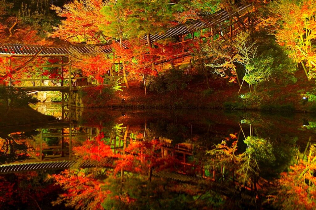 【日帰り】東寺五重塔初層特別拝観と高台寺ライトアップ