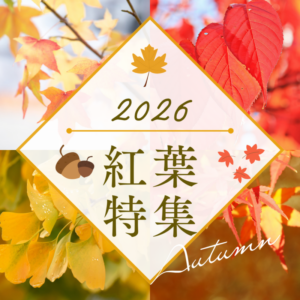 紅葉