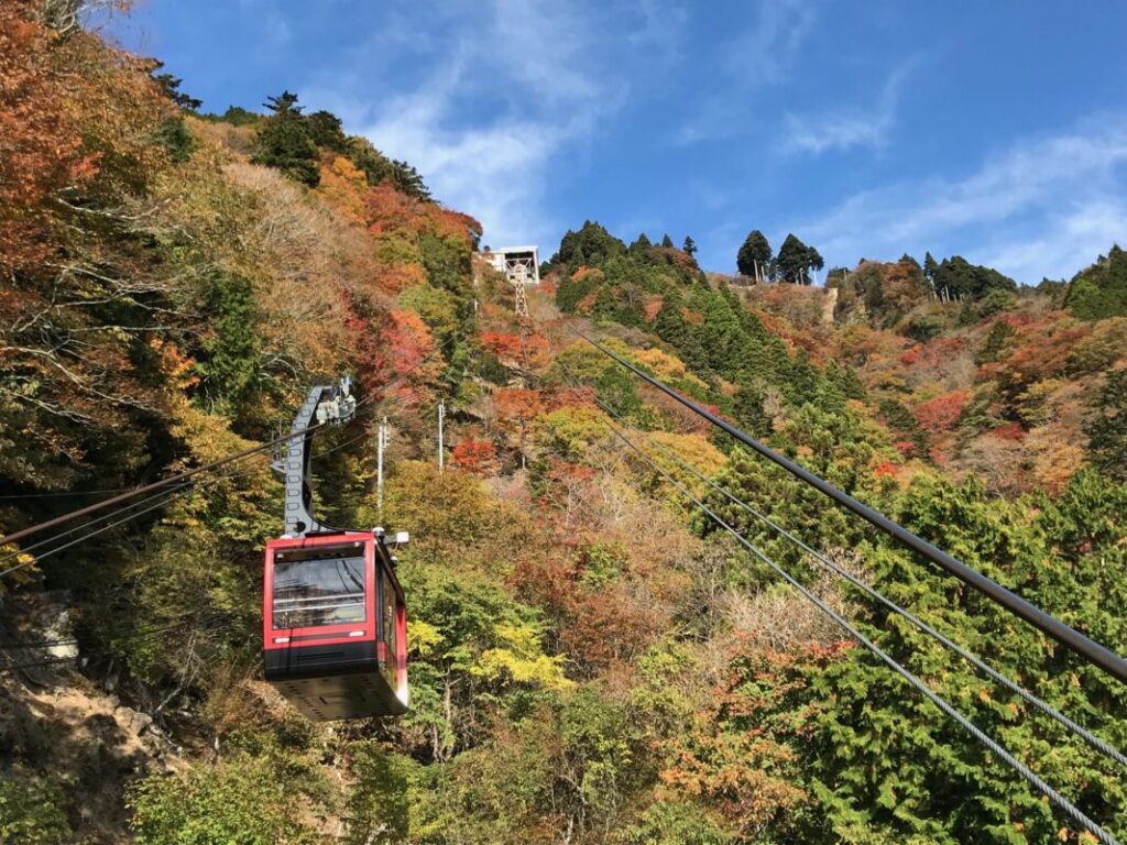 【日帰り】ロープウェイから見下ろす紅葉絵巻　身延山を満喫＆海辺のランチビュッフェ