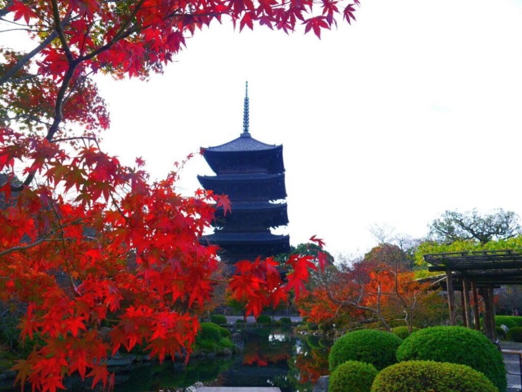 【日帰り】東寺五重塔初層特別拝観と高台寺ライトアップ