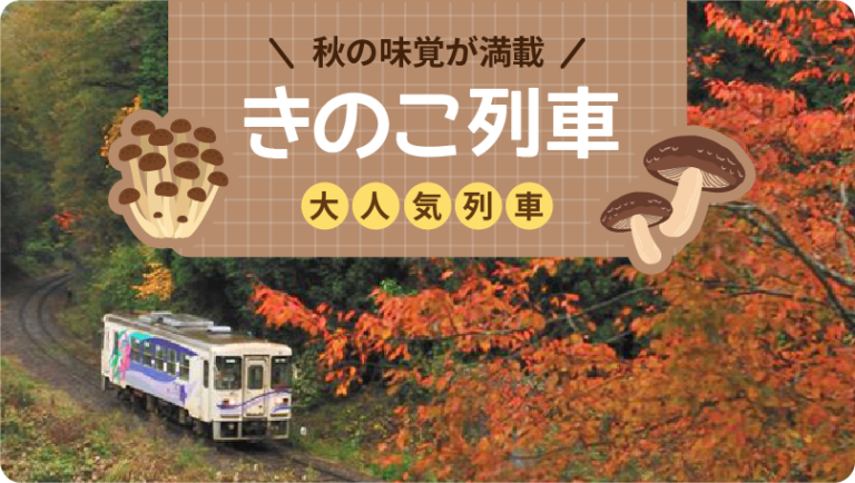 【日帰り】WEB予約限定 明知鉄道「きのこ列車」＆恵那川上屋で秋のグルメ旅　