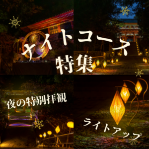 ナイトツアー