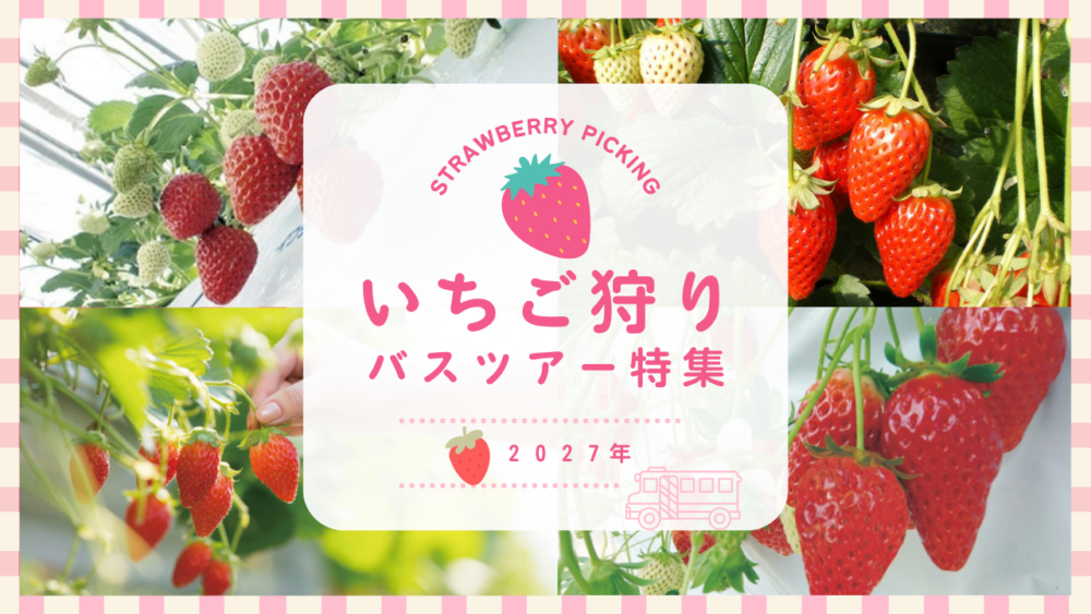 いちご狩り特集