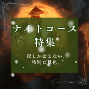 ナイトツアー