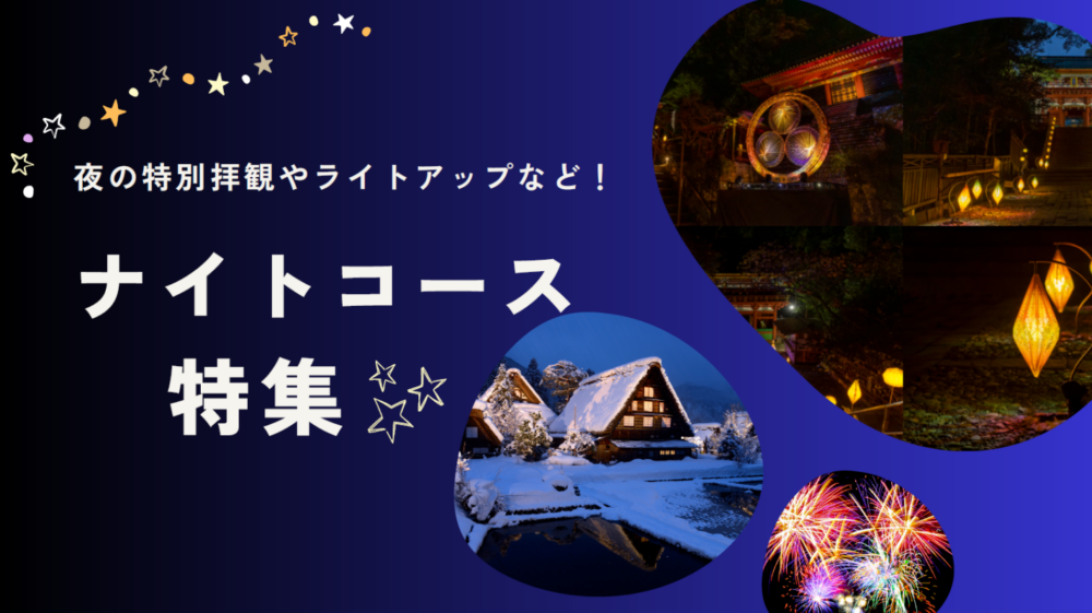 ナイトツアー