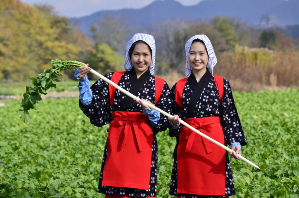 【日帰り】愛知の伝統野菜と発酵文化を体感！世界一長い大根”守口大根”を収穫しよう！
